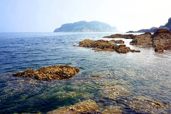 财政部晒地方债:去年“借钱”9.3万亿,余额超40万亿