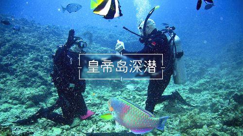科大讯飞改作文的神器软件游戏画面