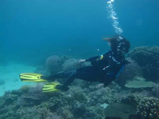 造物法则