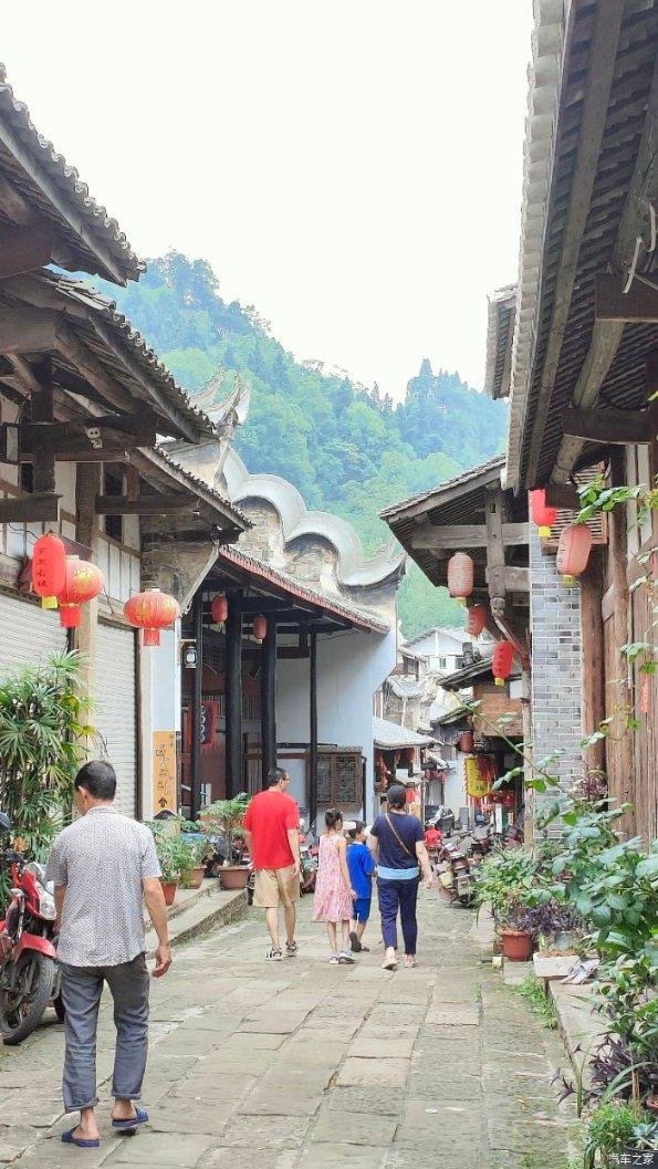 逃离绿色山谷
