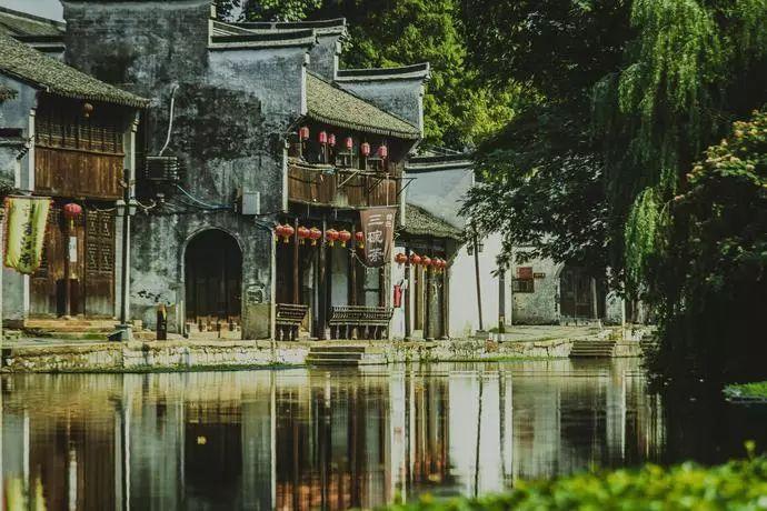 栀子落星海